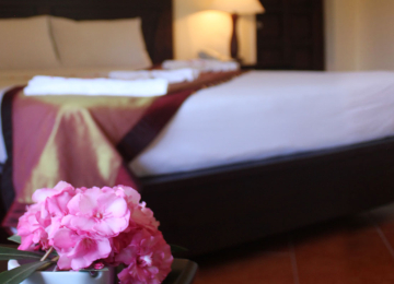 SUPERIOR GARDEN VIEW